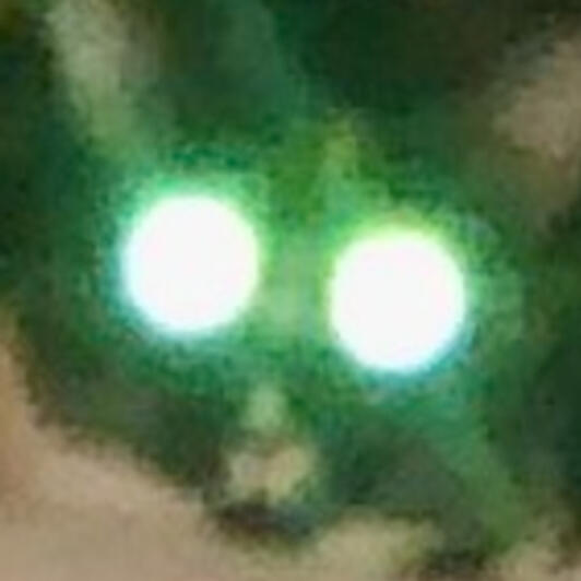 barleysmart Station 13